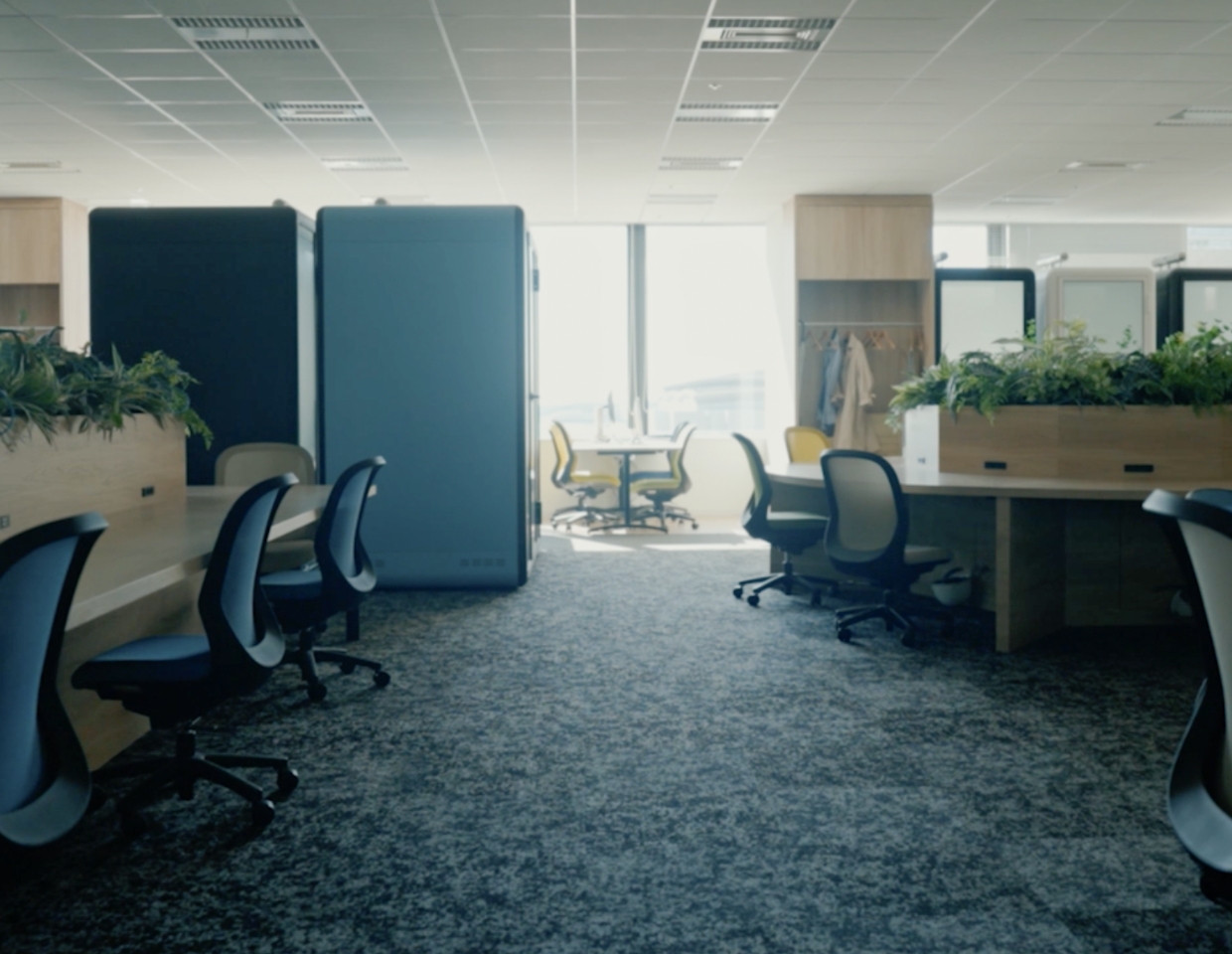 Company 会社情報